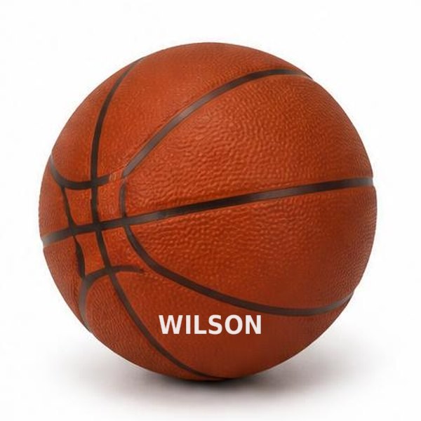 Wilson Evolution Indoor Game Basketball